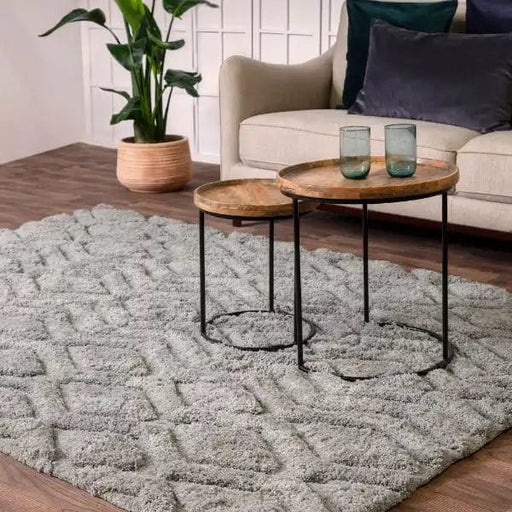 Asiatic Rugs Harrison Silver - Woven Rugs