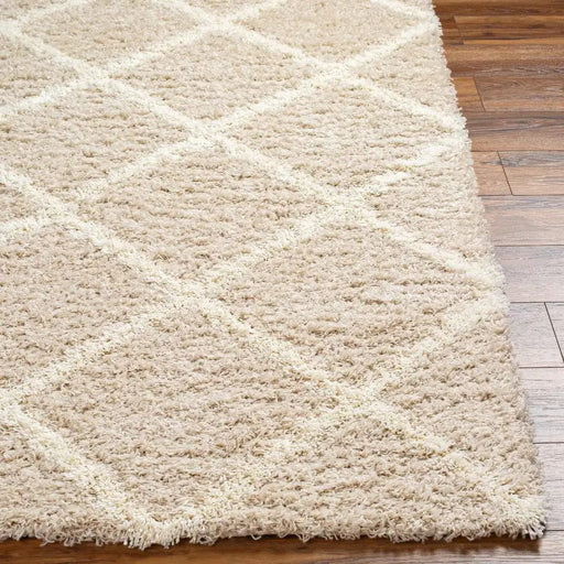 Surya Rugs Rectangle / 160 x 220cm USG JANE 2319 Beige 889292406406 - Woven Rugs