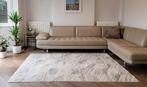 Concept Looms Rugs ONYX ONX09 SILVER - Woven Rugs
