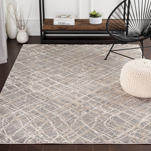 Surya Rugs Rectangle / 160 x 230cm TBT VALENTINA 2316 Charcoal 888473767312 - Woven Rugs